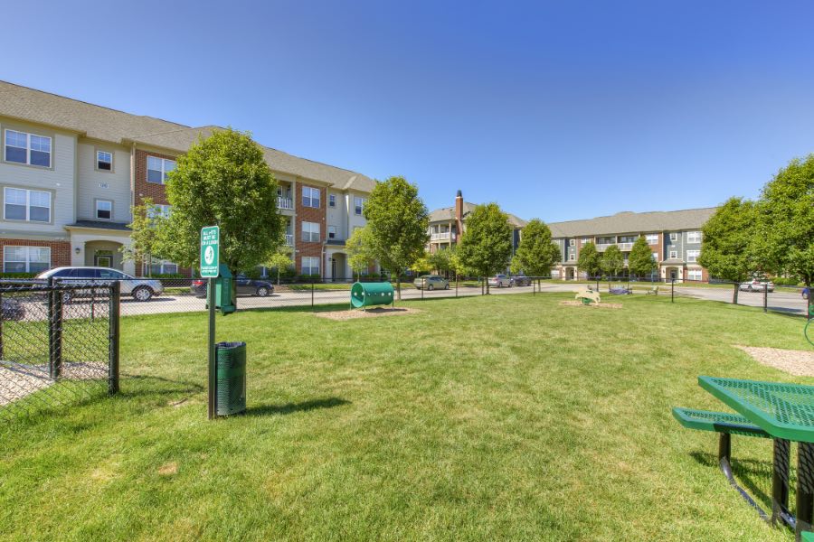 Meet fellow pet owners at dog parks like this one at The District at Saxony Apartment Homes. Fenced dog park at apartment community