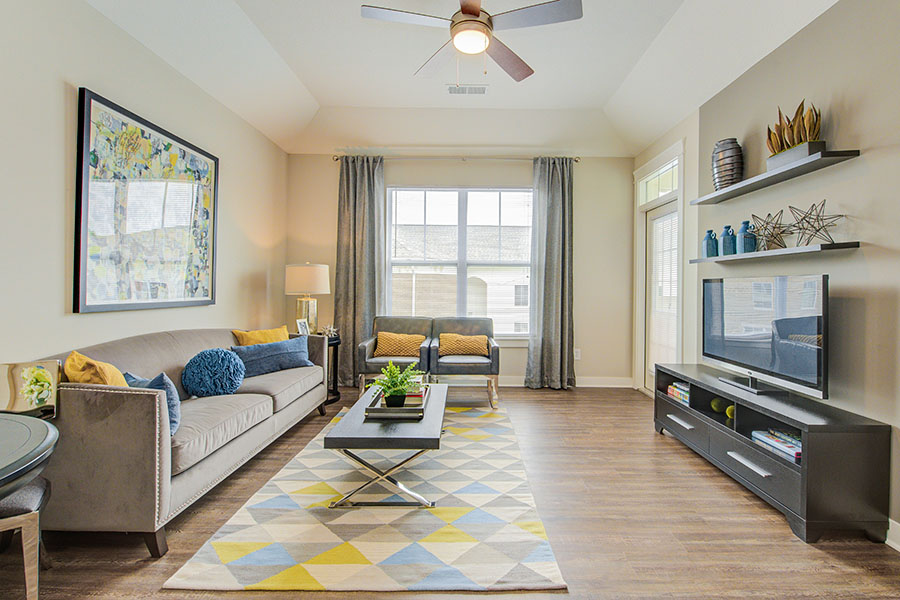 Living area with entertainment center, large sofa, and area rug