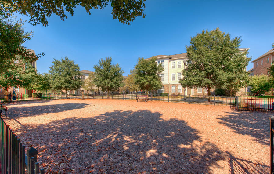Let your dog run in a dog park, like the one at Legacy apartments in Carmel. Wide open dog park at Carmel apartments.