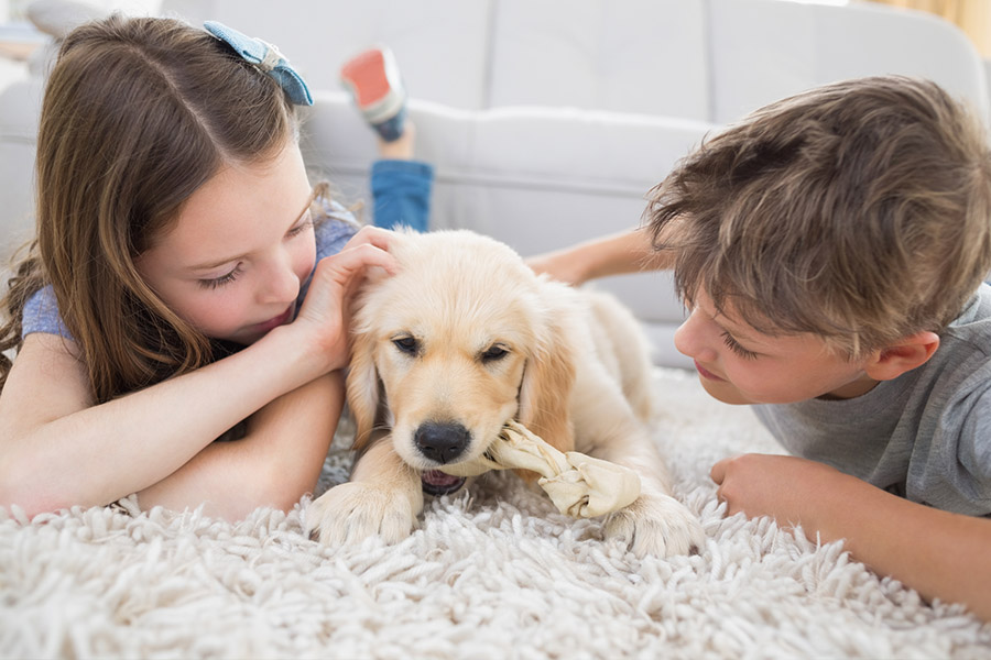 Kids and a puppy on the floor playing.